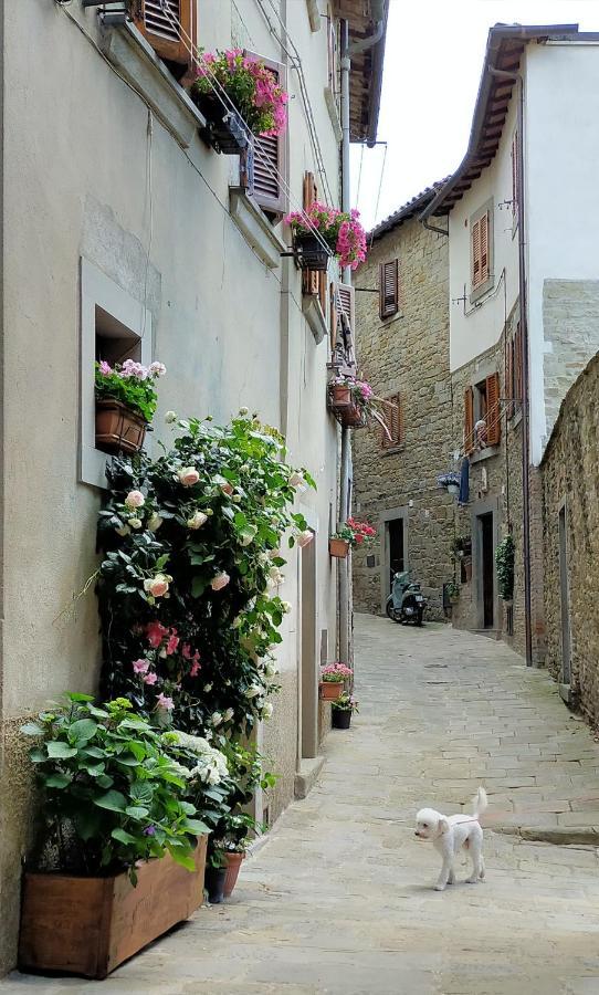 Appartamento Casa Agata max 4 persone in pieno centro storico Cortona Esterno foto